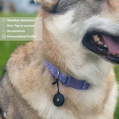 Puck - Smart tag for Pets, People & Accessories